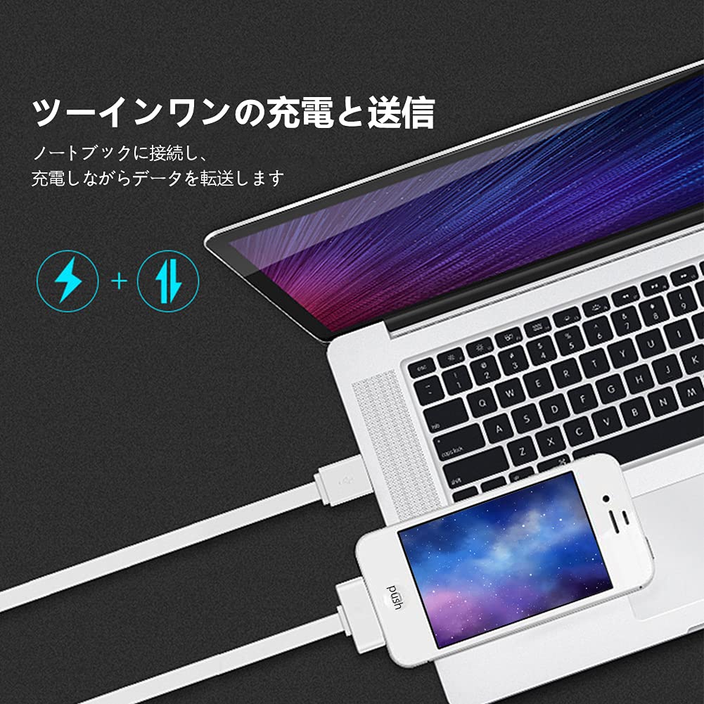 IOSからphone4/4SのDOCKへ変換コネクタ データ伝送 8ピン(メス) から iDock 30ピン (オス)へ変換アダプター 2個セット