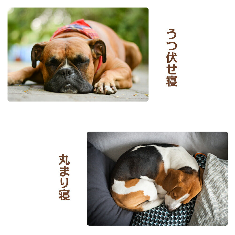 犬用ソファベッド 脚付き ペットベッド 中型犬 小型犬 大型犬用ベッド ペット用ソファーベッド 寝床 通年 丈夫 おしゃれ 防水 オールシーズン 冬 夏 かわいい 大きい 高反発 頑丈 L型 多頭飼い グレー
