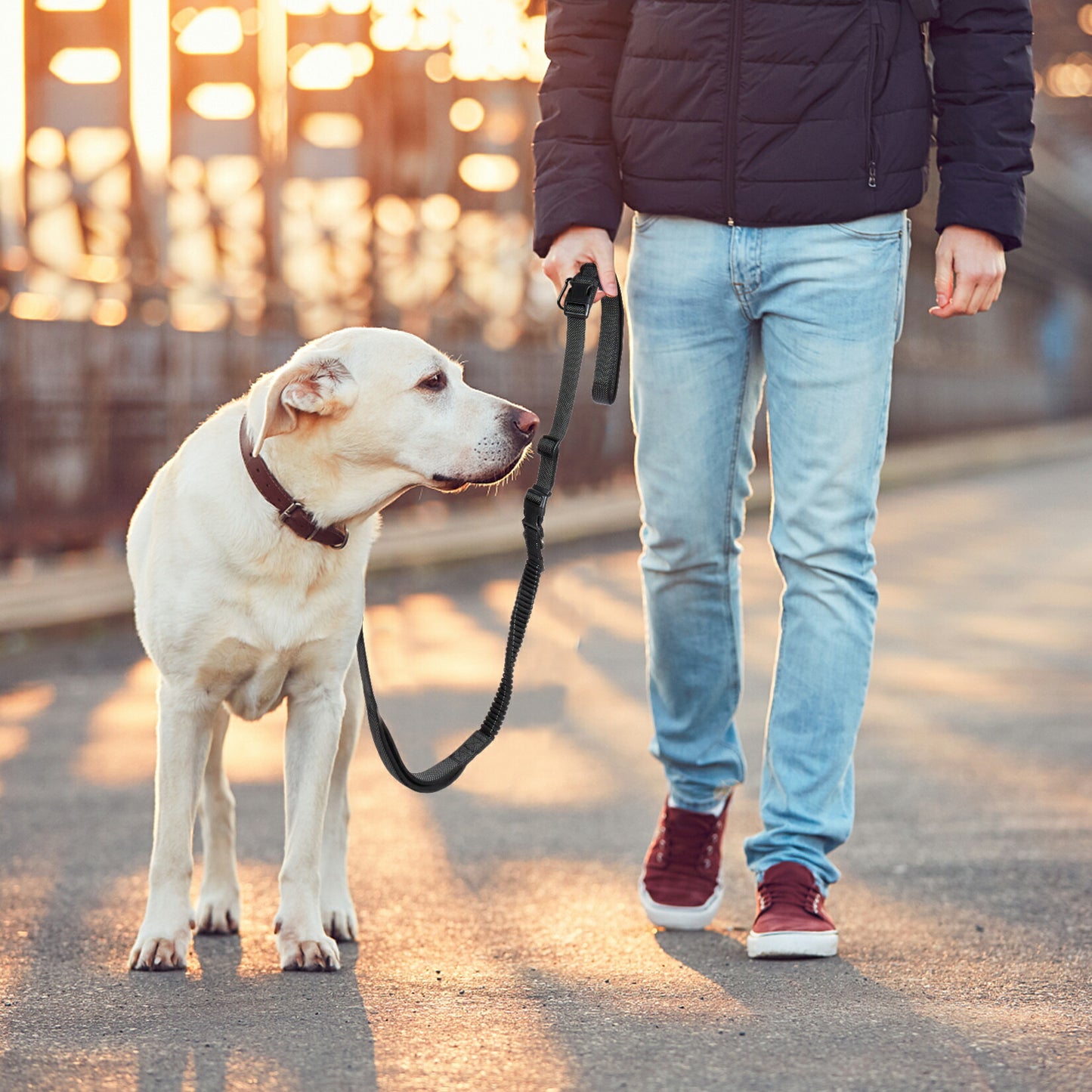 犬用リード ショルダーリード 肩掛け 犬用シートベルト 腰ベルト付き 肩掛けリード ハンズフリー 1本6役 多機能リード 伸縮紐広い 大型犬 中型犬 トレーニングリード 車載 夜光 反射 散歩 訓練 しつけ用 おしゃれ 丈夫 通気性 ブラック